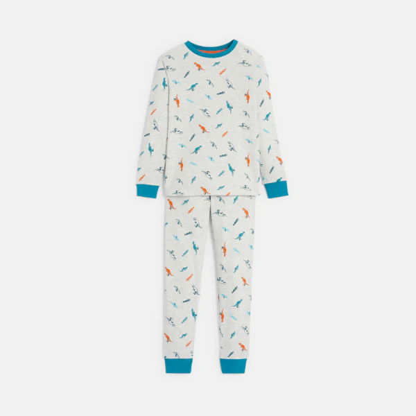 Pyjama 2 pièces motifs dinosaures gris Garçon