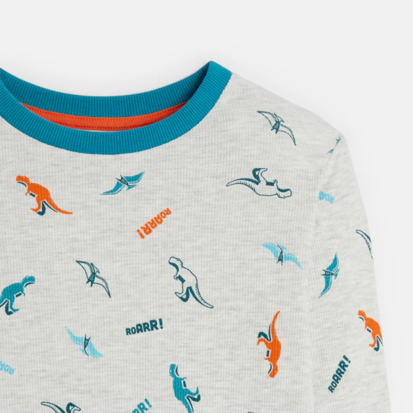 Pyjama 2 pièces motifs dinosaures gris Garçon