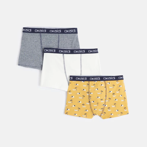 Boxers Garçon (lot de 3)