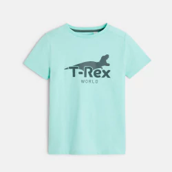 T-shirt motif dinosaure...