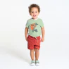 T-shirt koalas vert bébé garçon