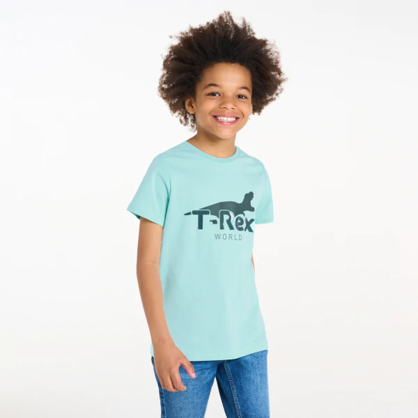 T-shirt motif dinosaure bleu Garçon