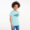 T-shirt motif dinosaure bleu Garçon