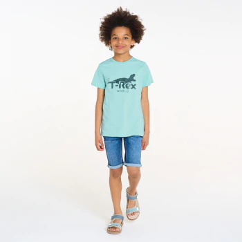 T-shirt motif dinosaure bleu Garçon