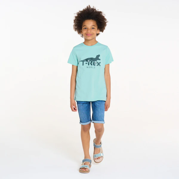 T-shirt motif dinosaure bleu Garçon